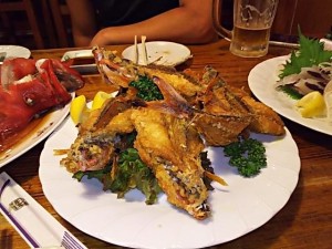 DSC_0310.JPG