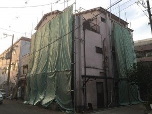 IMG_1037.JPG
