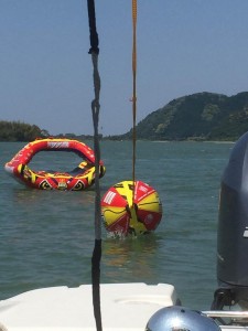 IMG_1263.JPG