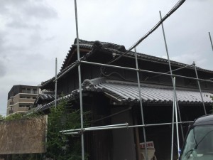 IMG_1649.JPG