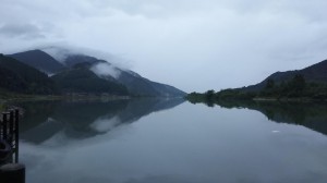 DSC_0521.JPG