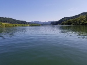 20170910_092707.jpg