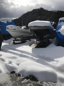 IMG_4073.jpeg