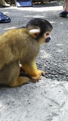 DSC_0083.JPG