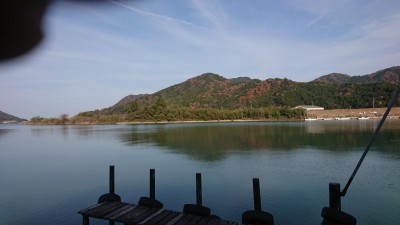 DSC_0226.JPG