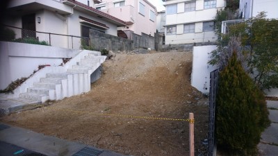 DSC_1038.JPG
