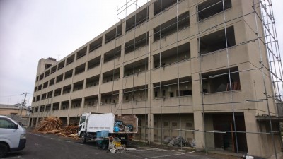 DSC_1230.JPG