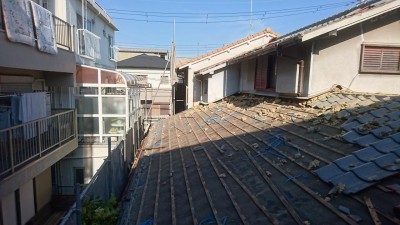 DSC_0053.JPG