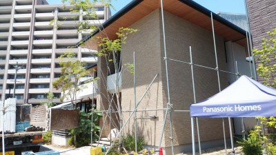 IMG_20210506_114712.jpg