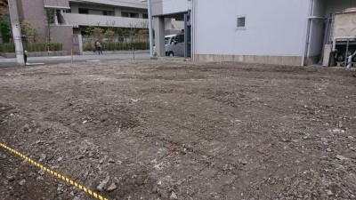 DSC_1051.JPG