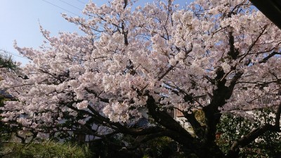 DSC_1553.JPG