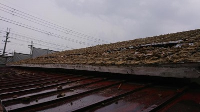 DSC_1873.JPG