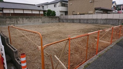 DSC_1918.JPG